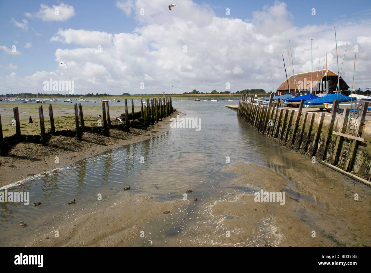Bosham Harbour, West Sussex UK Stock Photo Alamy