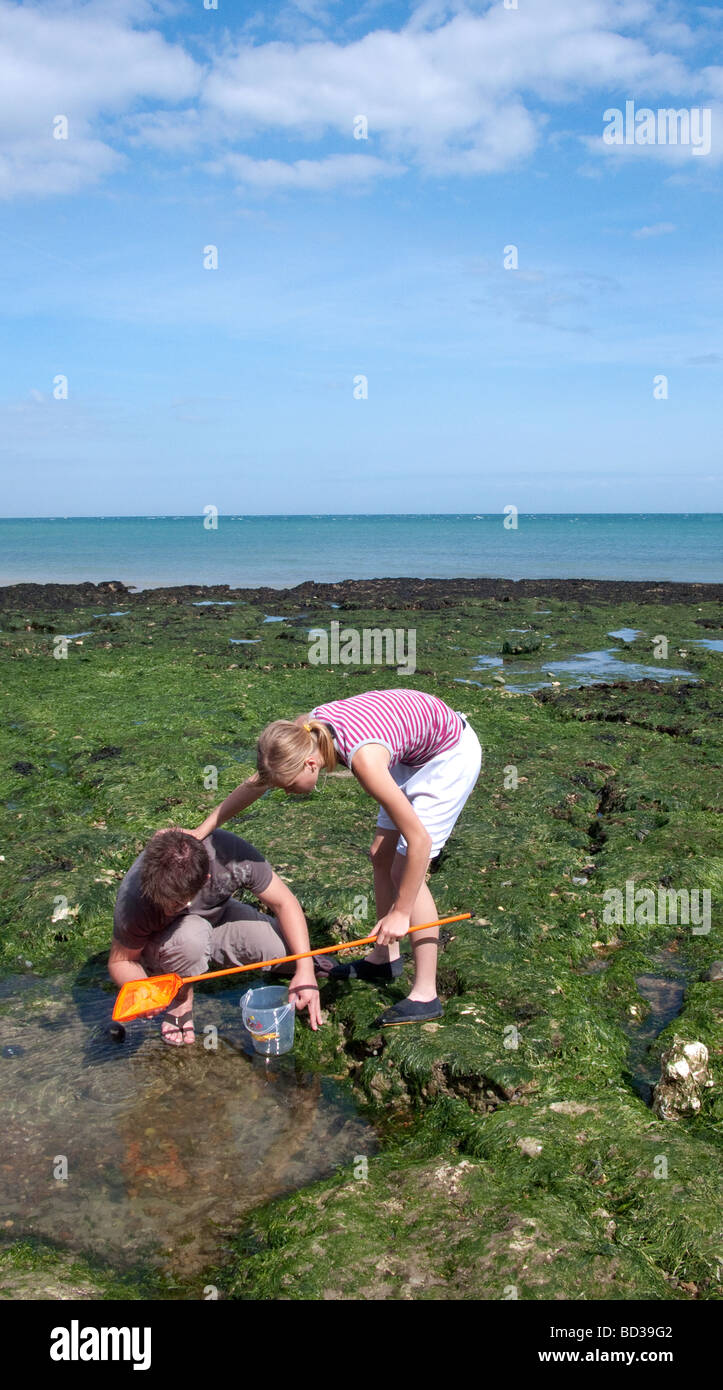 Fishing In Rock Pool Hi res Stock Photography And Images Alamy fishing-in-rock-pool-hi-res-stock-photography-and-images-alamy