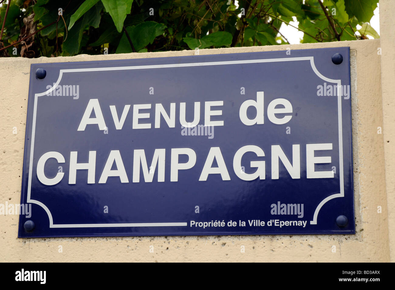 Avenue de champagne epernay hi-res stock photography and images - Alamy