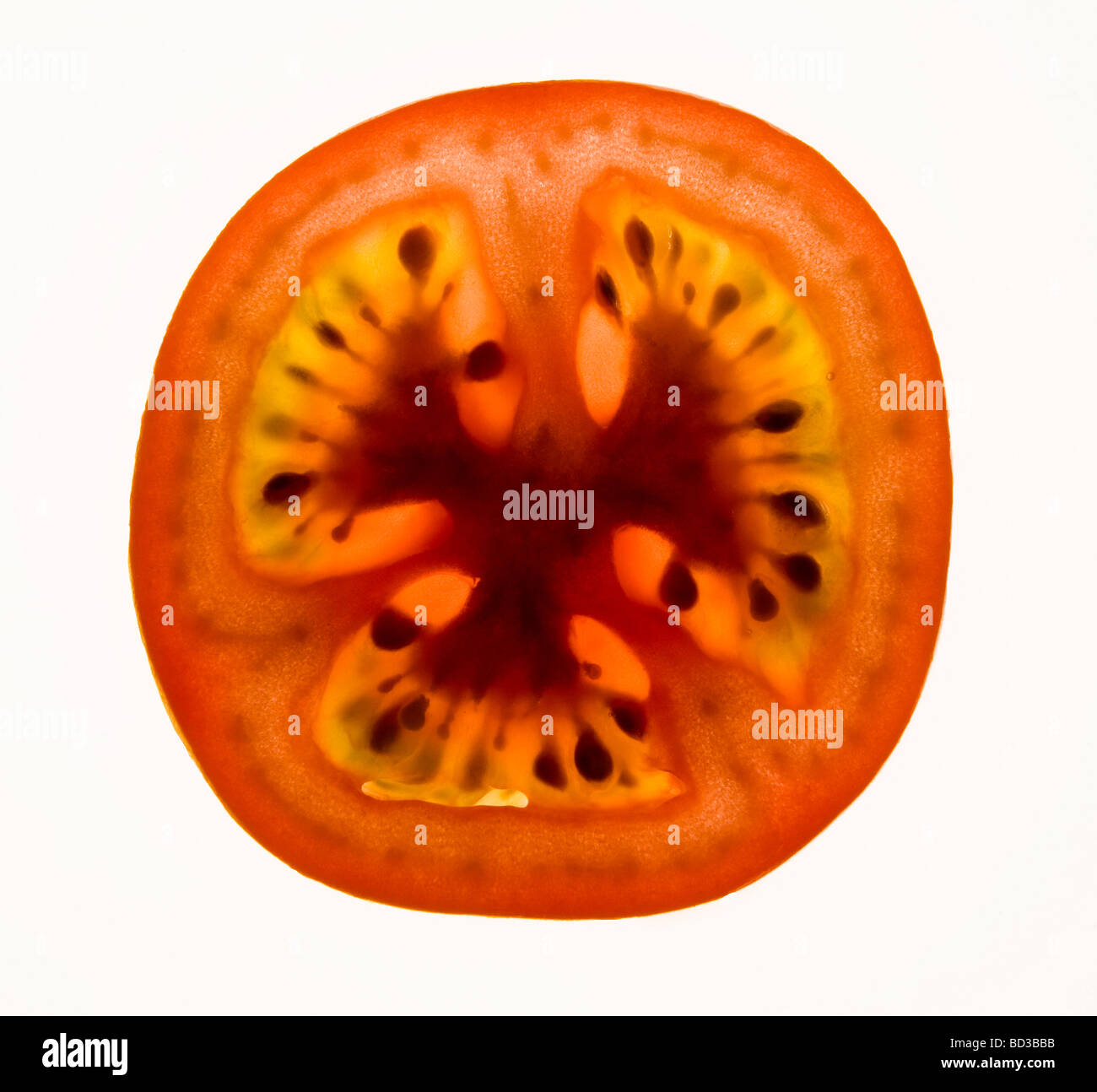 Tomato seed Cut Out Stock Images & Pictures - Alamy