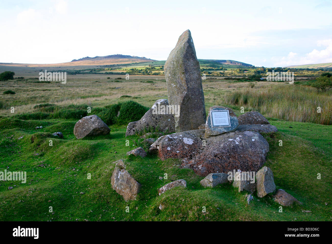 Bluestone standing stone Mynachlog Ddu Preseli Hills Pembrokeshire Wales Stock Photo