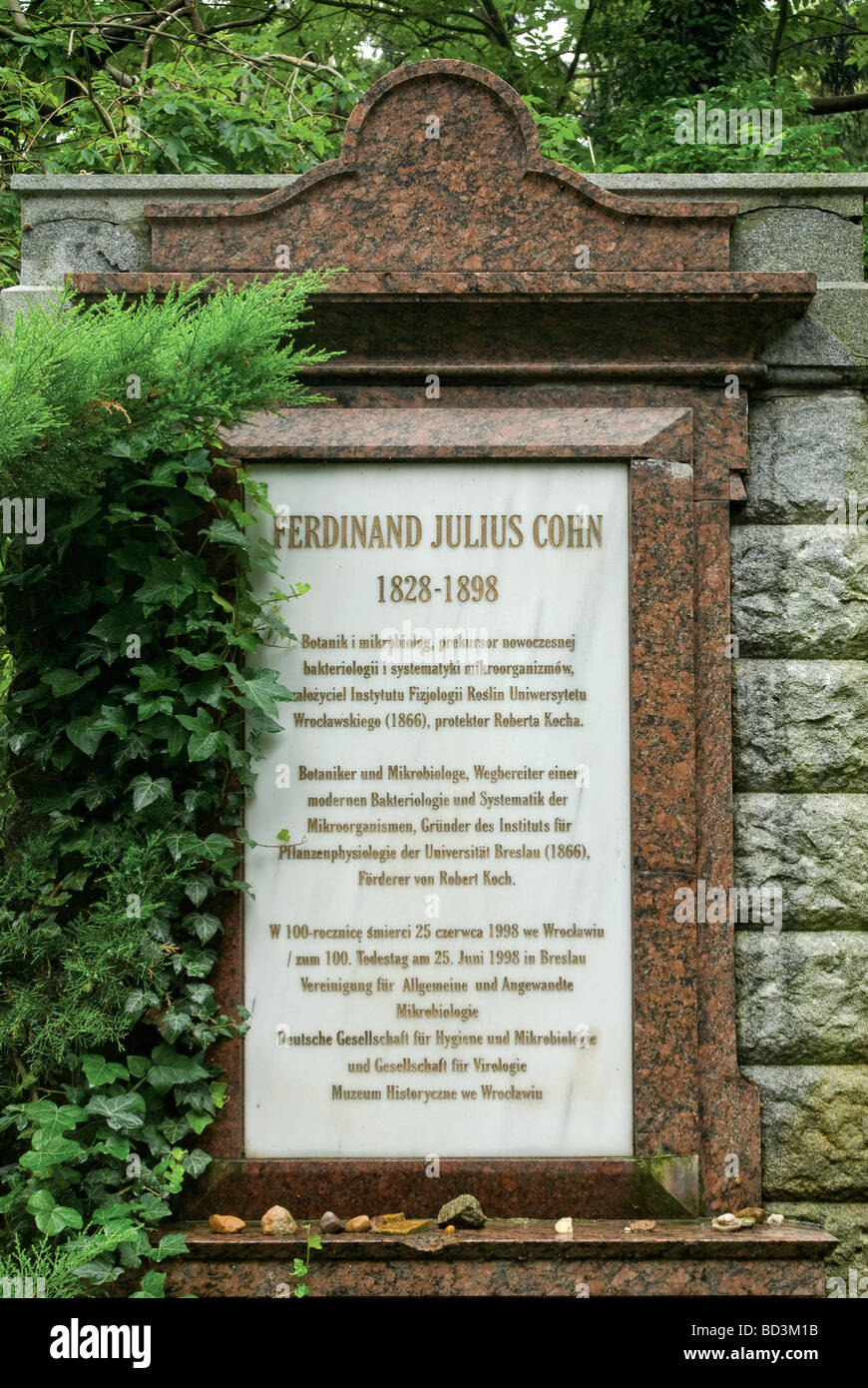 Sign at tomb of Professor Ferdinand Julius Cohn at Jewish Cemetery in Wrocław Lower Silesia region Poland Stock Photo