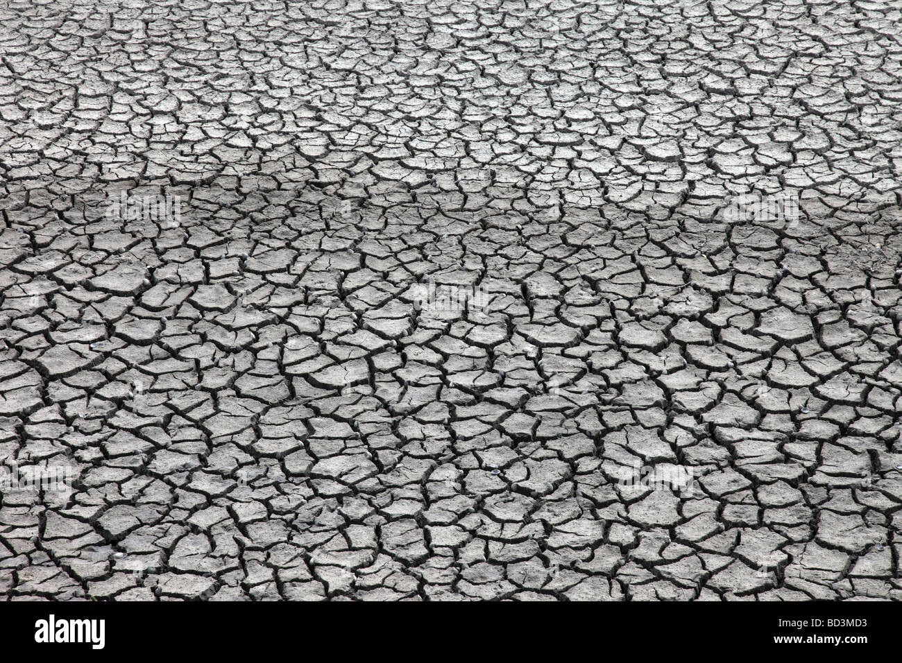 Sun Baked and Cracked Mud Stock Photo Alamy
