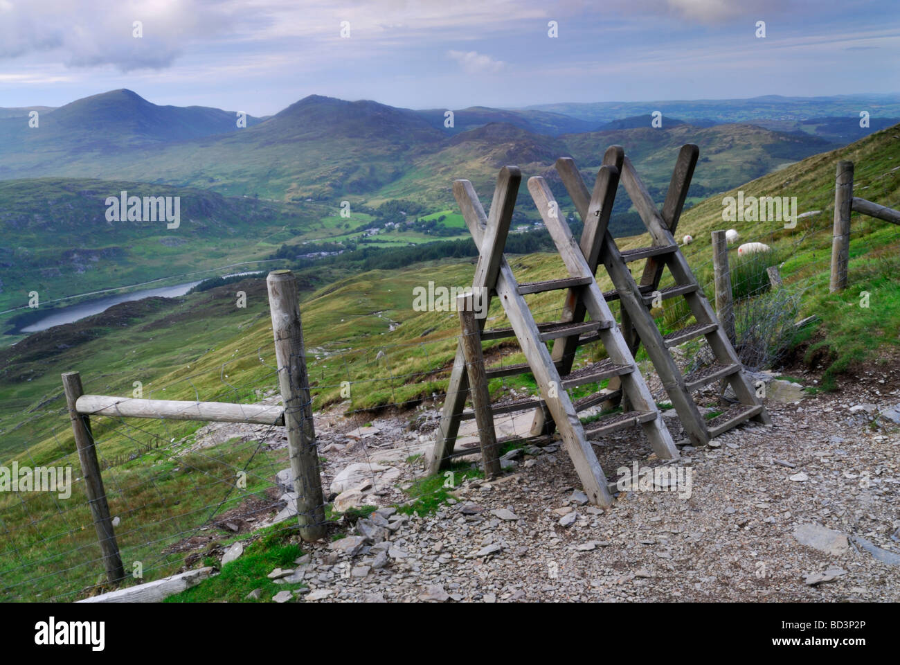 Stiles on the walking track on Moel Siabod Snowdonia National Park Wales England UK Stock Photo