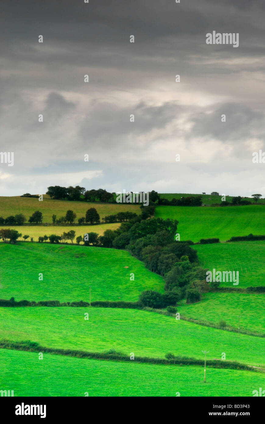Farmland near Llansannan Wales  UK Stock Photo