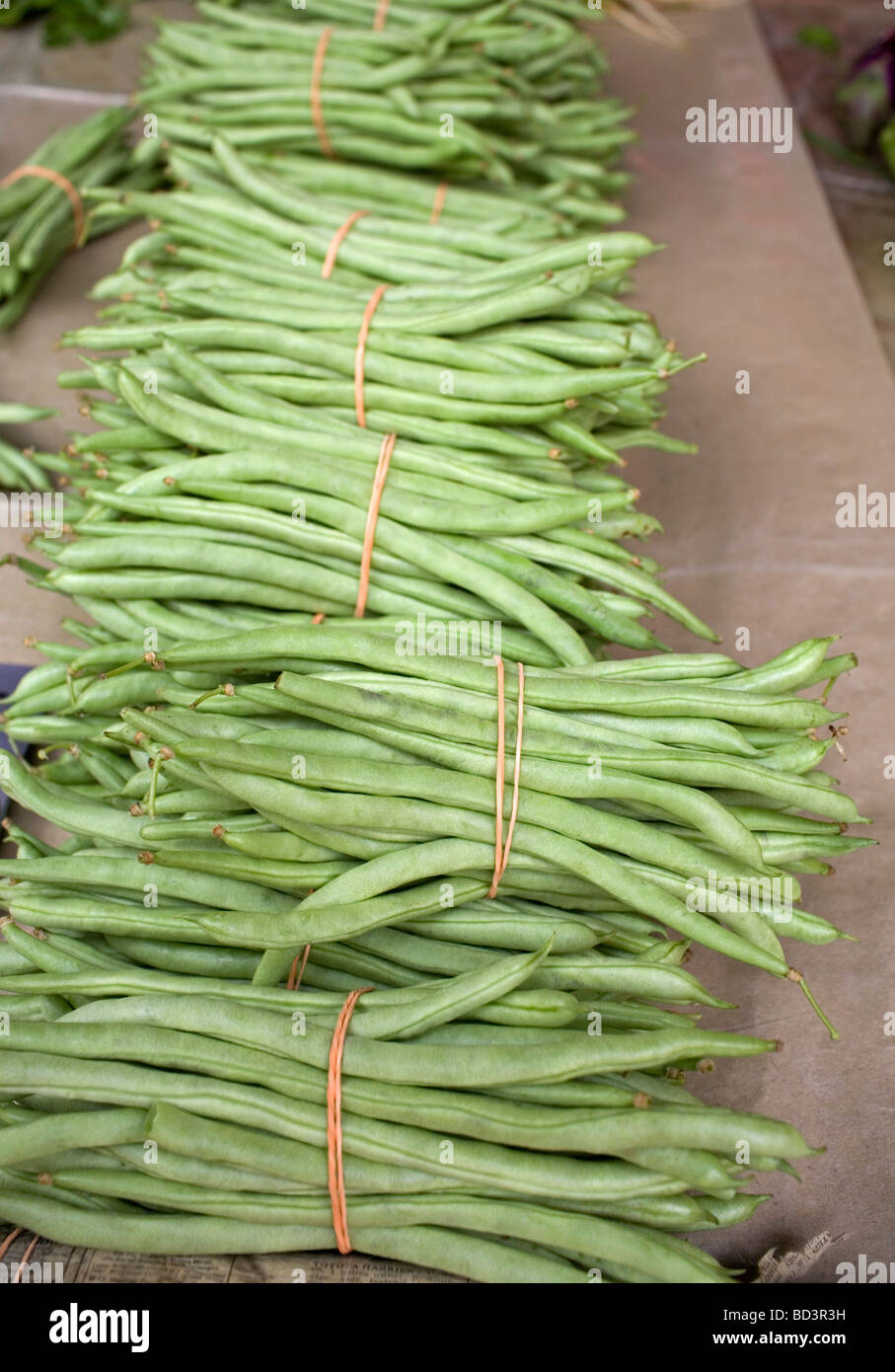 Diverticulosis hires stock photography and images Alamy