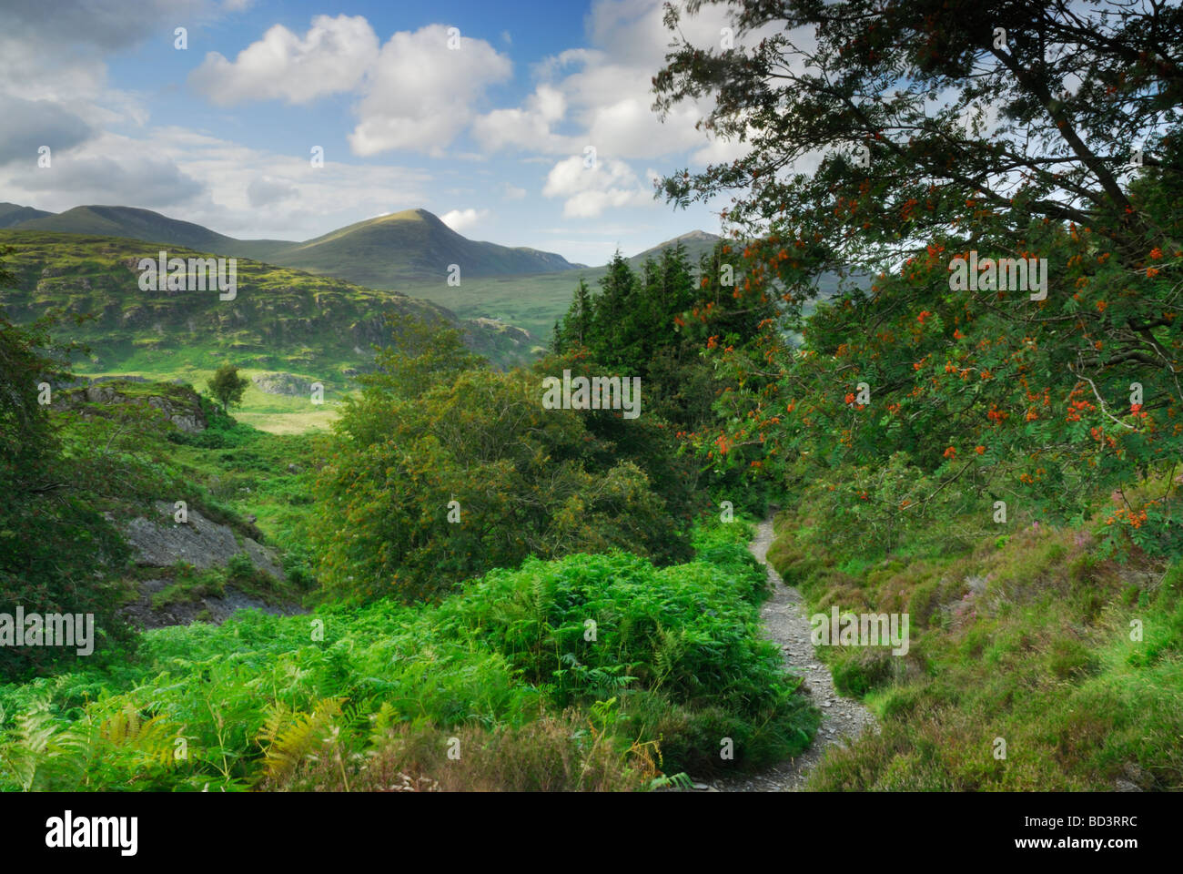 Moel Siabod Snowdonia National Park Wales UK Stock Photo