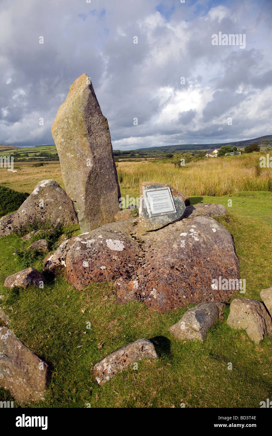Modern bluestone single stone megalith, near Mynachlogddu, Preseli Hills, Pembrokeshire, Wales Stock Photo