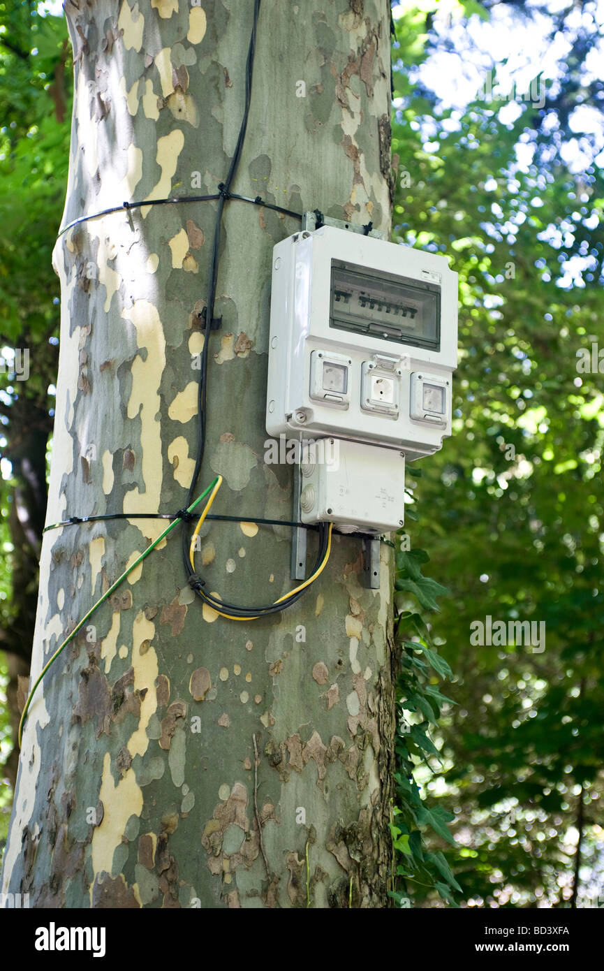 Electricity Meter strapped to a Tree Stock Photo Alamy