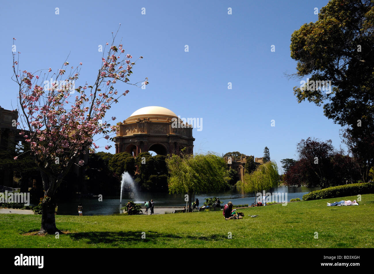Palais Des Arts San Francisco California USA People relax in the gardens on a sunny day in the city  Stock Photo