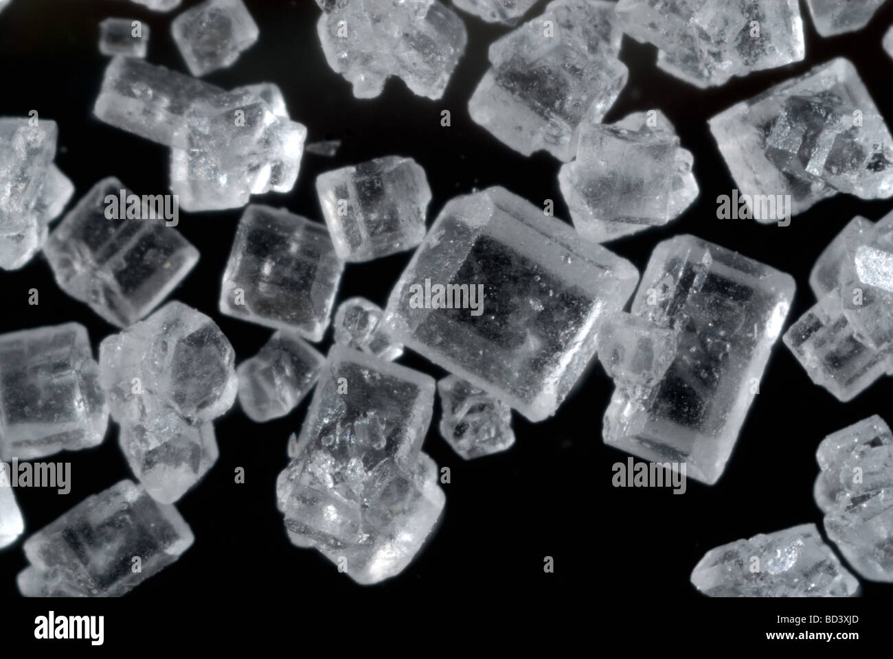Crystals of granulated sugar Stock Photo Alamy