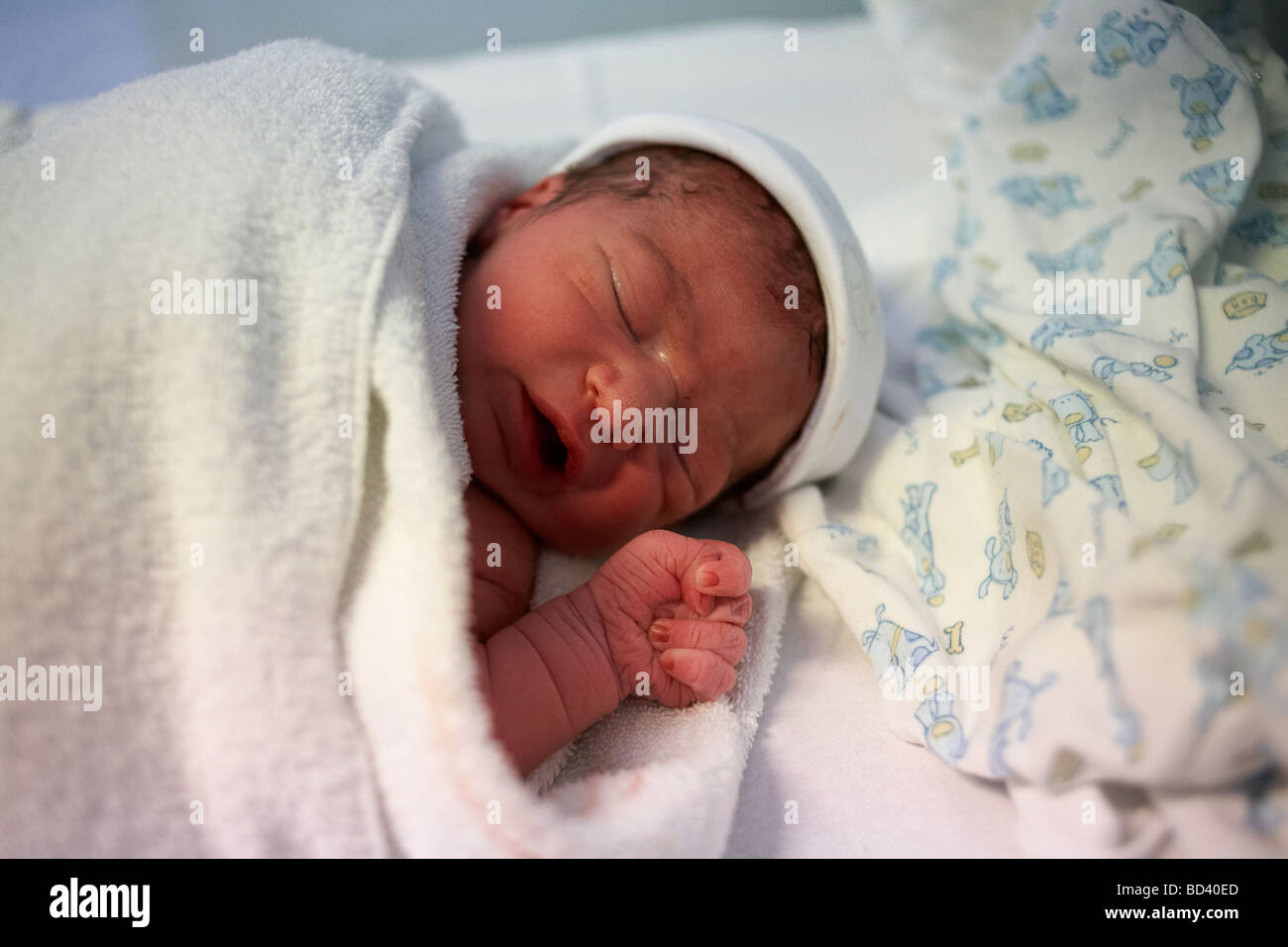 Newborn baby boy sleeps after being born 30 minutes previously Stock