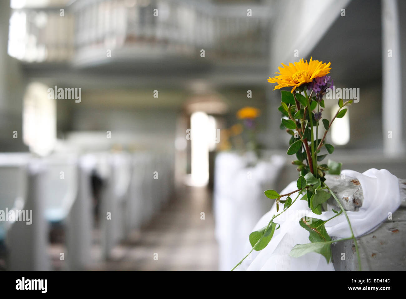 with yellow flowers decorated church for wedding Stock Photo