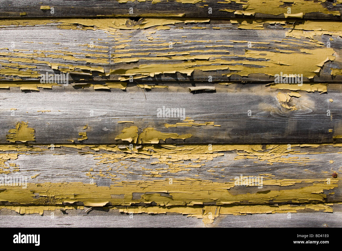 paint peeling on log cabin wall: tight shot Stock Photo