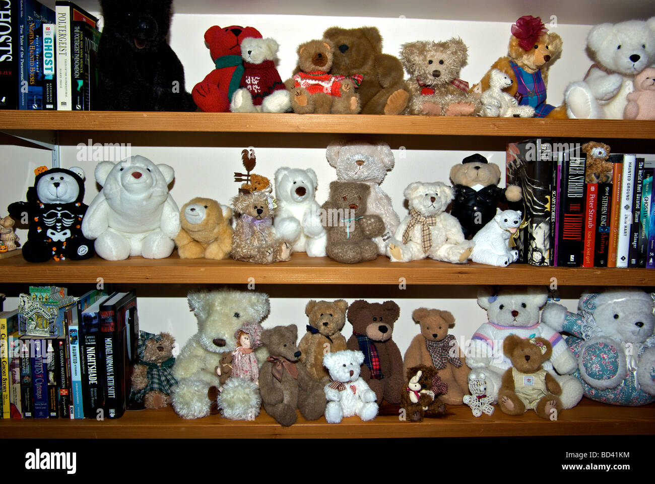 Teddy Bear Toys On Shelf Stock Photo 25290040 Alamy