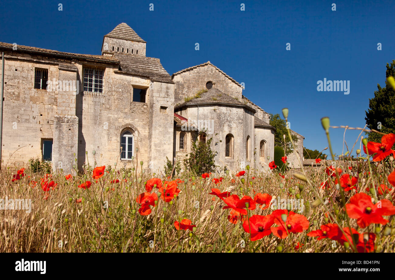 Red Poppies below Saint Paul de Mausole - Van Gogh's Asylum, St. Remy de-Provence, France Stock Photo