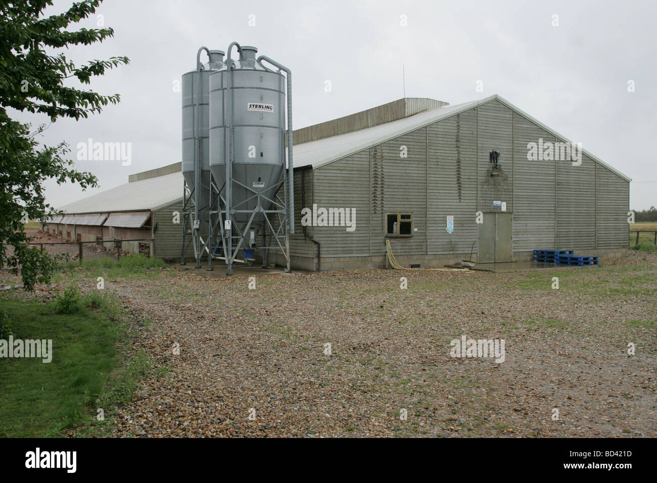 Poultry Shed With Feed Bins Stock Photo