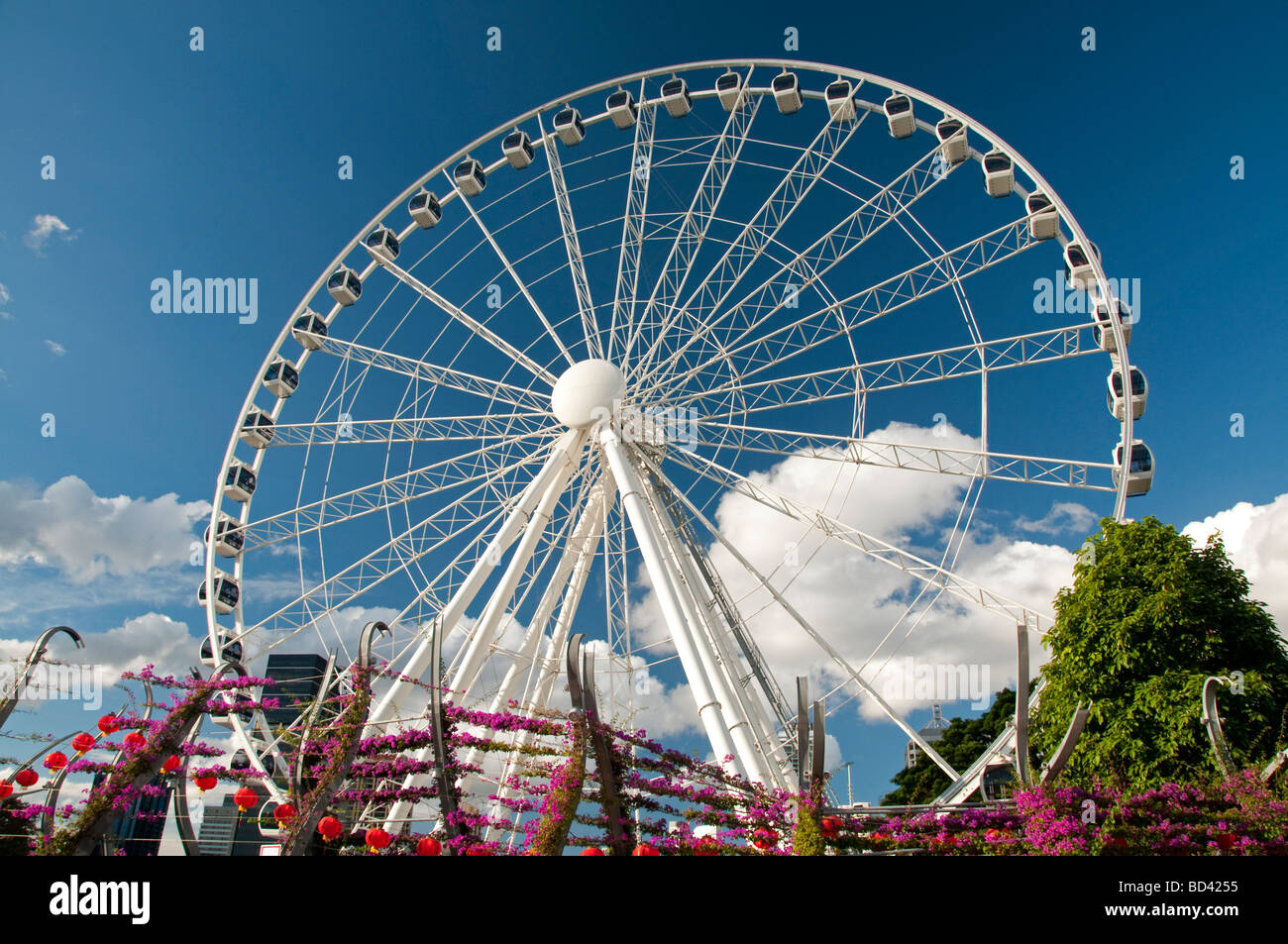 The Brisbane Wheel in Southbank, Brisbane, Australia Stock Photo