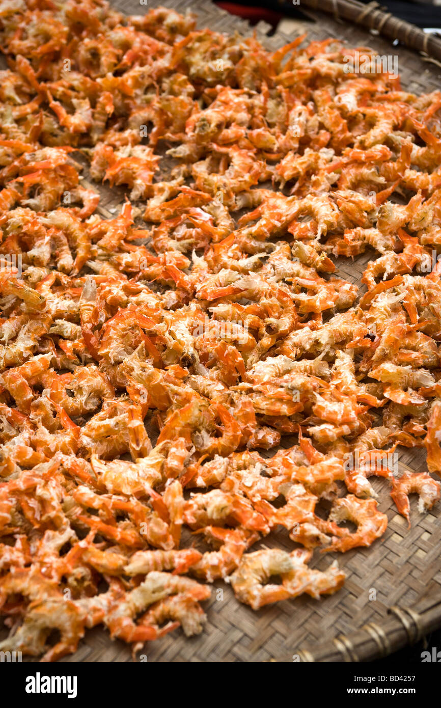 Dried shrimp hanoi vietnam hires stock photography and images Alamy