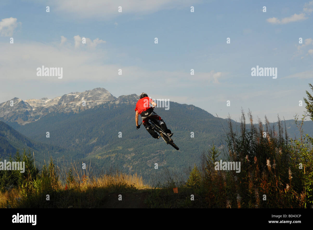 A downhill mountain biker jumps his bike in Whistler, Canada Stock