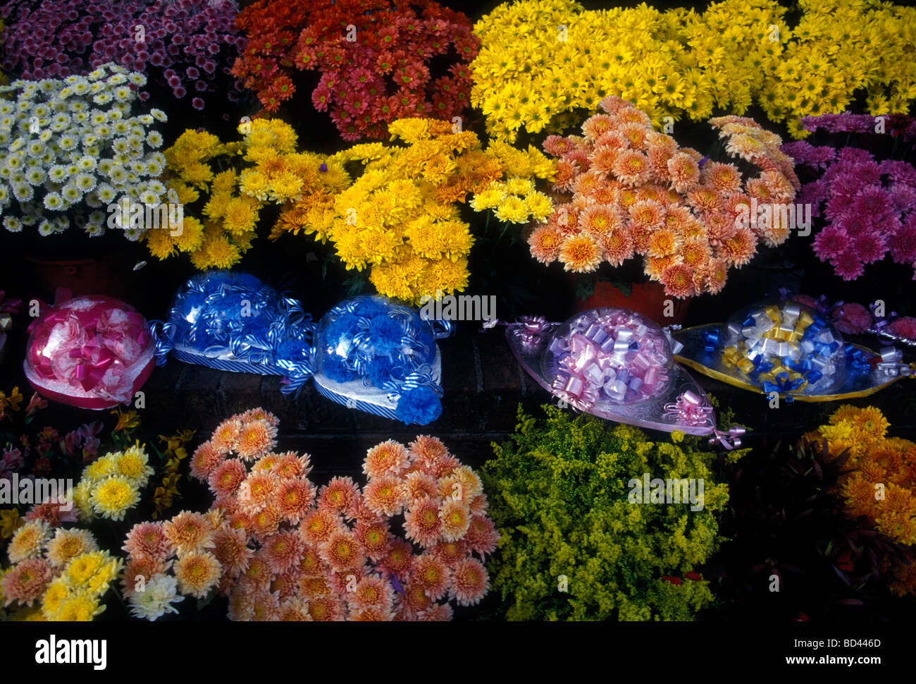 flower vendor, selling fresh flowers, fresh flowers, flowers, flower stand, city of Harare