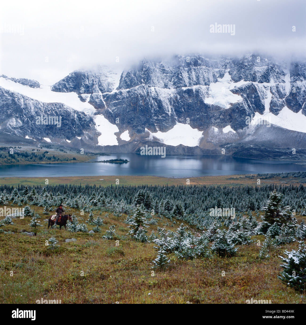 Cowboy on horseback in late fall snowstorm Amethyst Lake Jasper