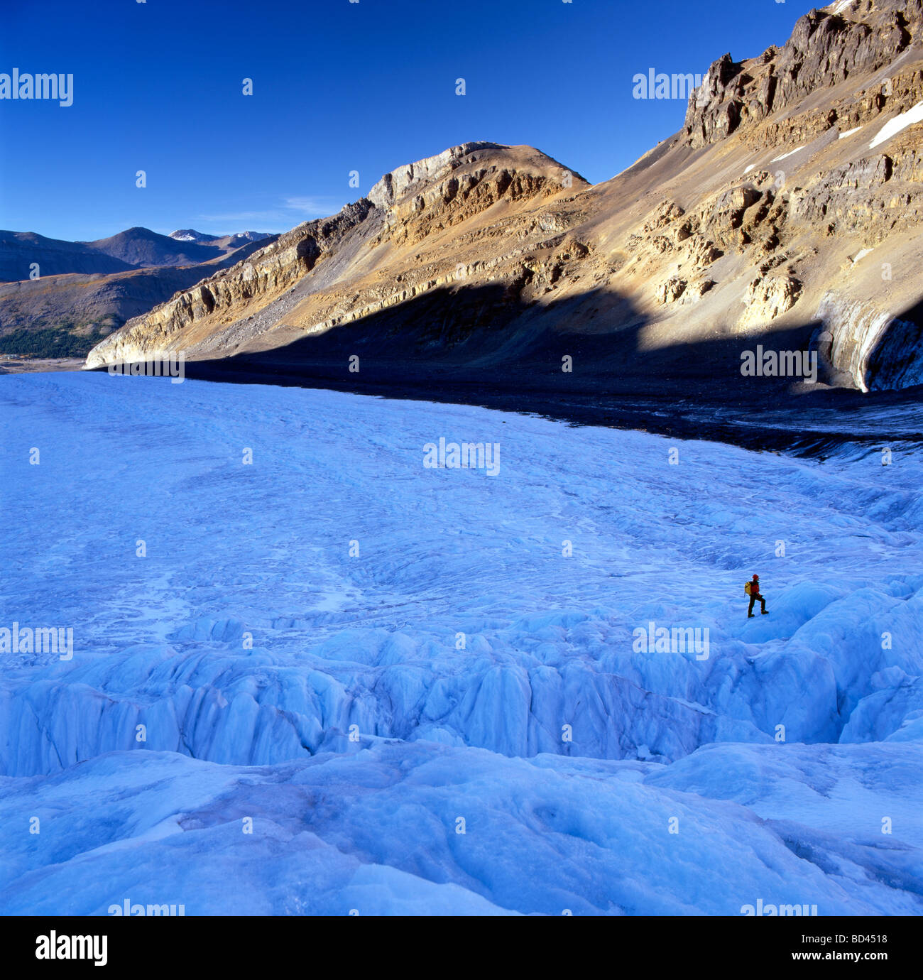 My Image 24