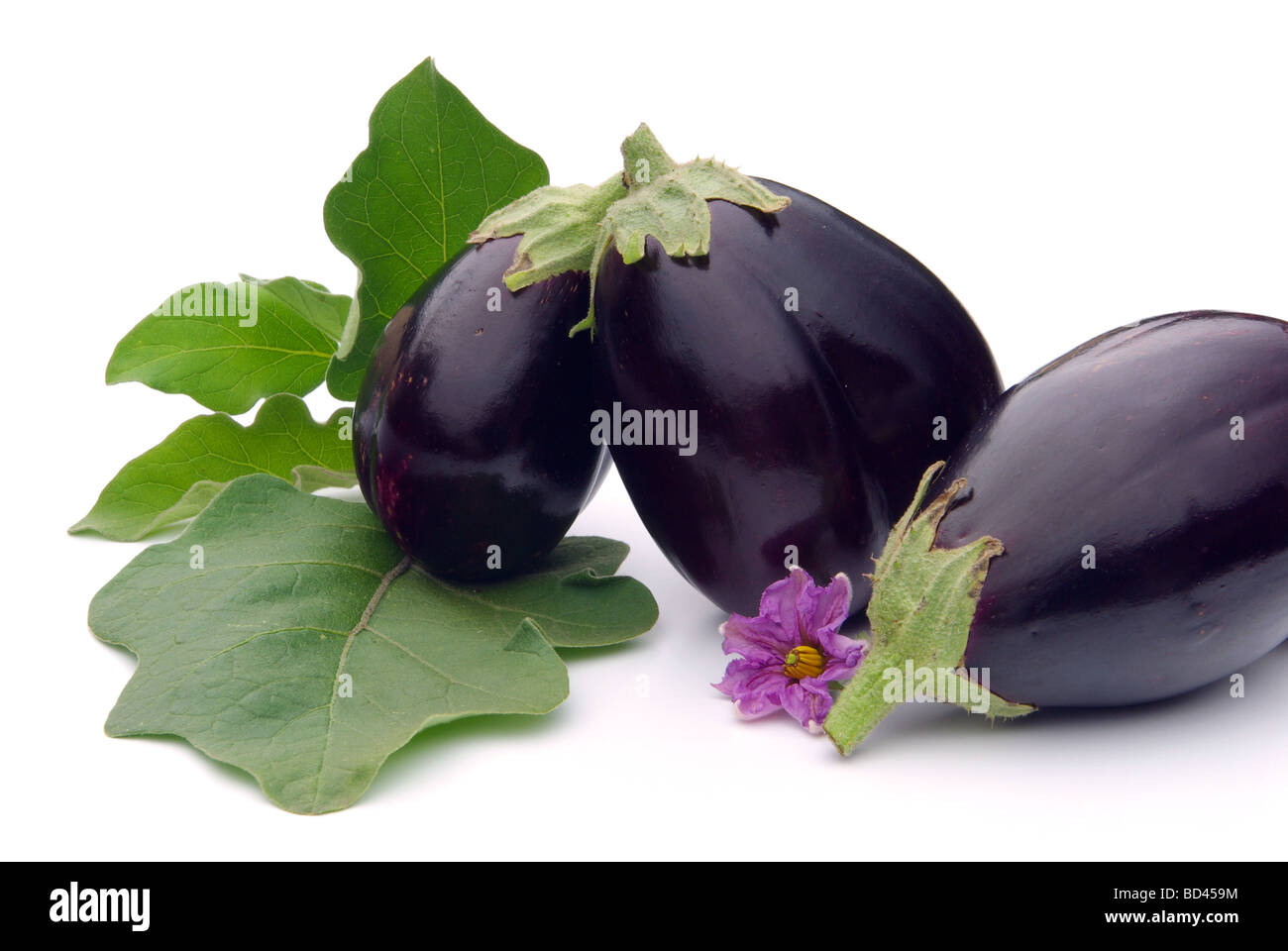 Auberginen hi-res stock photography and images - Alamy