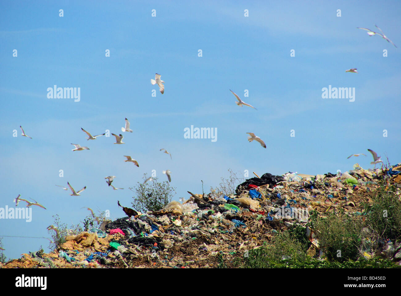 Müllkippe garbage dump 11 Stock Photo