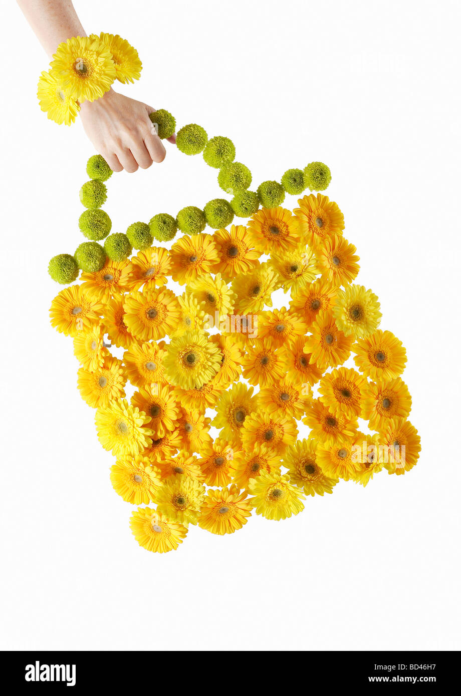 A hand holding a flower bag Stock Photo