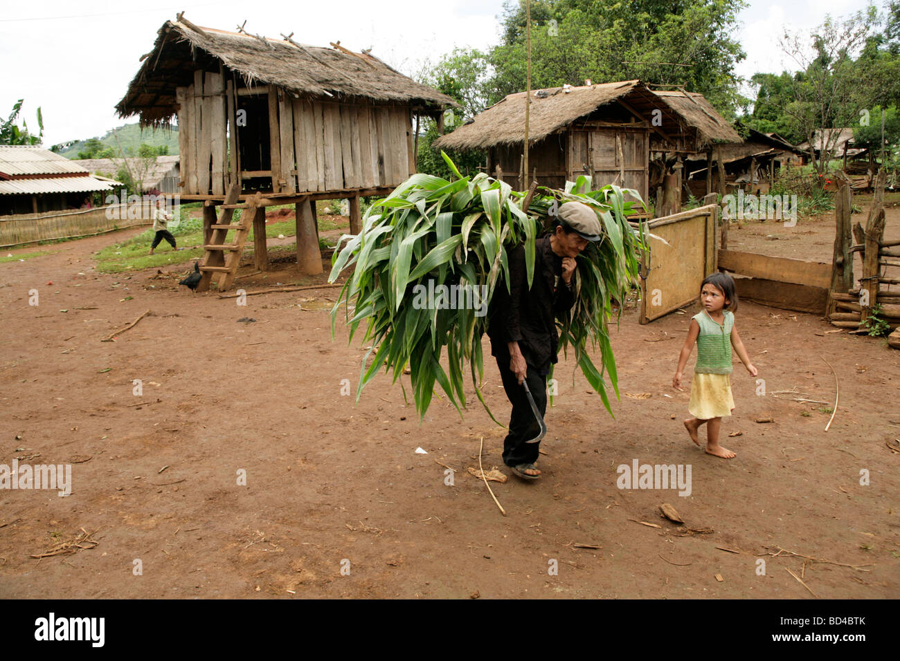 Xieng Khouang, Laos, 2006 :  A farmer returns with a large basket of corn. The little shack is built on US bomb casings. Stock Photo
