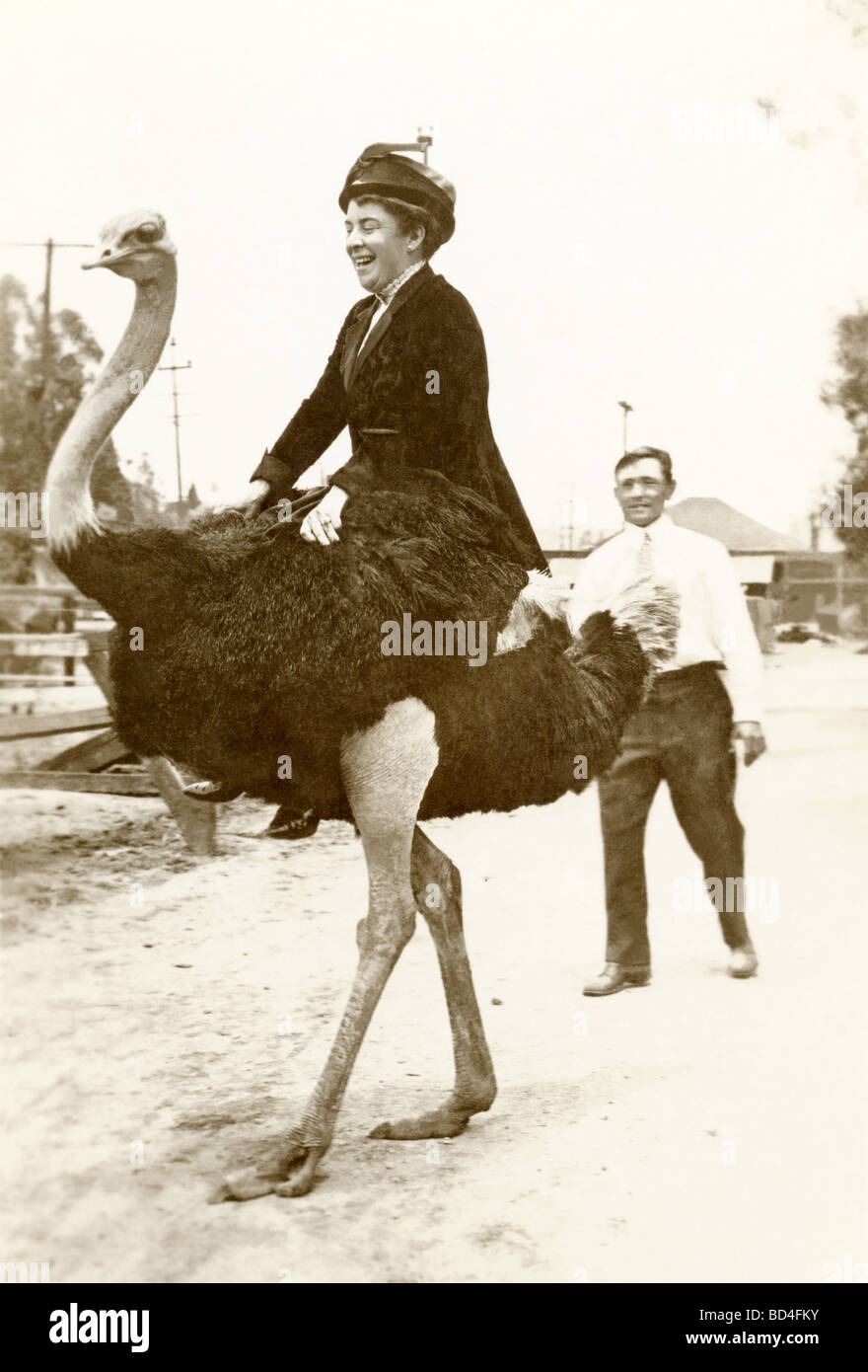 Woman Riding an Ostrich Stock Photo: 25301023 - Alamy