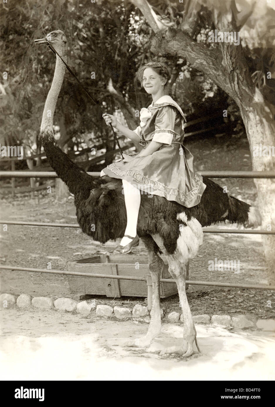 Teenager Girl Riding Ostrich Stock Photo - Alamy