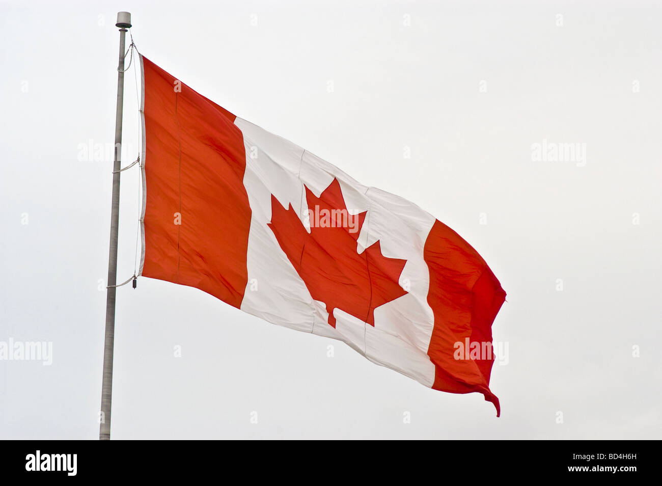Canadian flag on pole Stock Photo