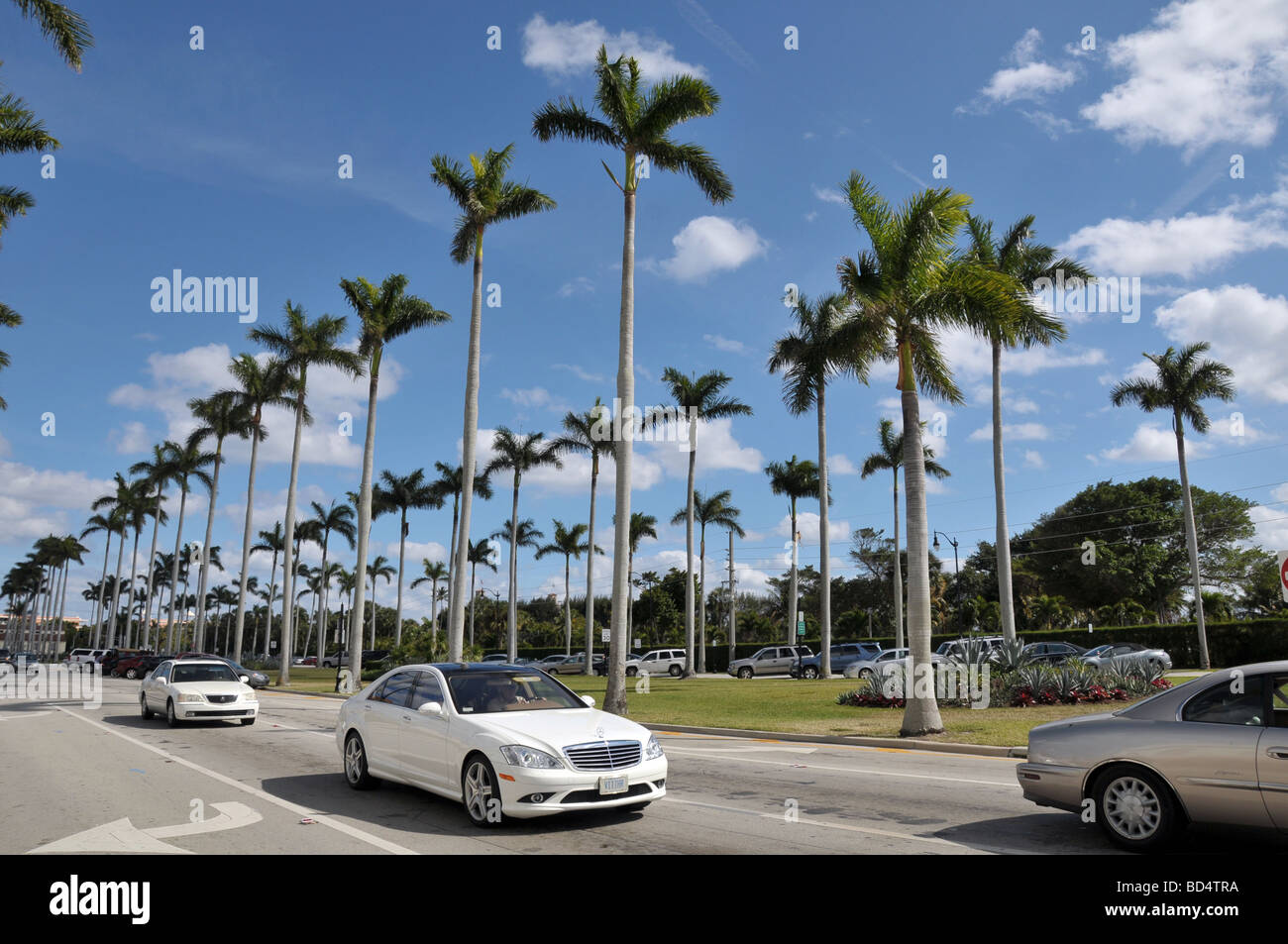 Royal Palms Line Downtown Delray Beach Boulevard Stock Photo Alamy