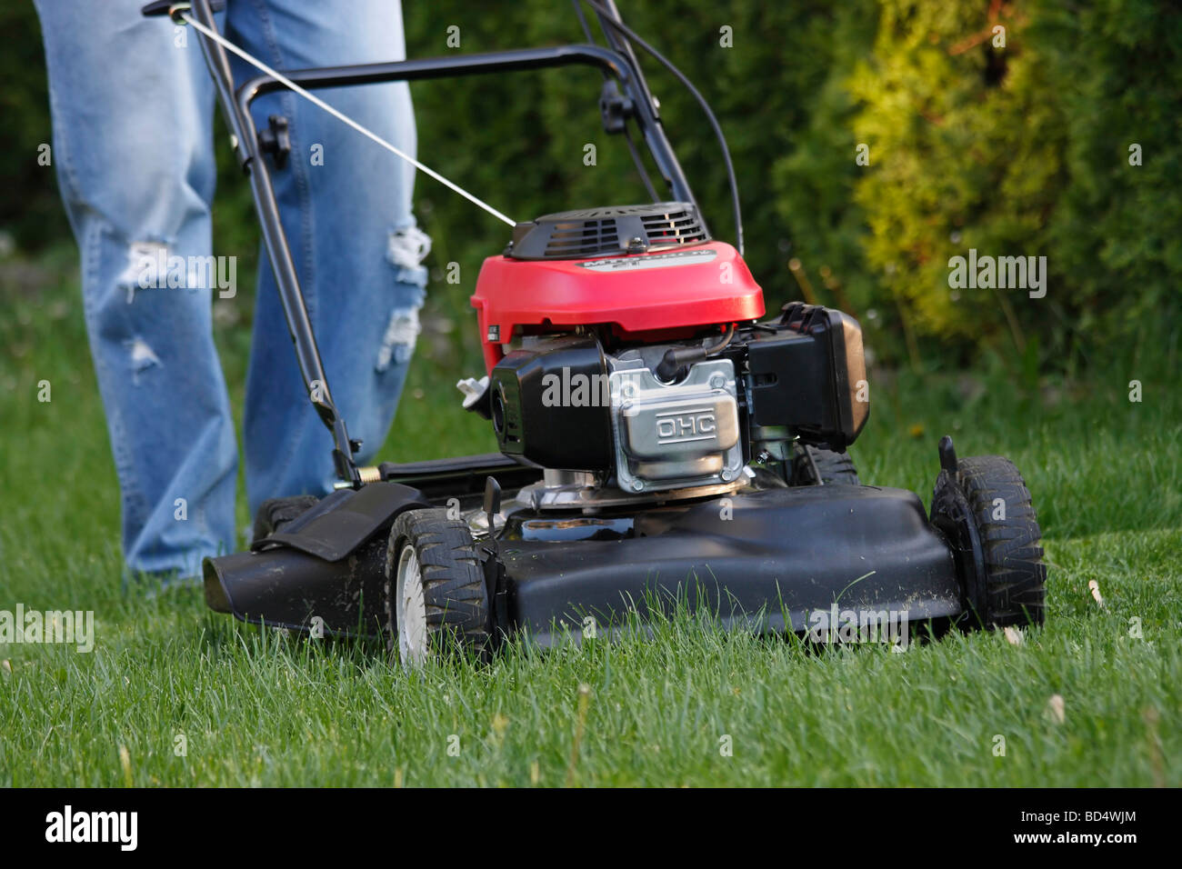Man using lawnmower lawn mower engine mowing on garden close up closeup