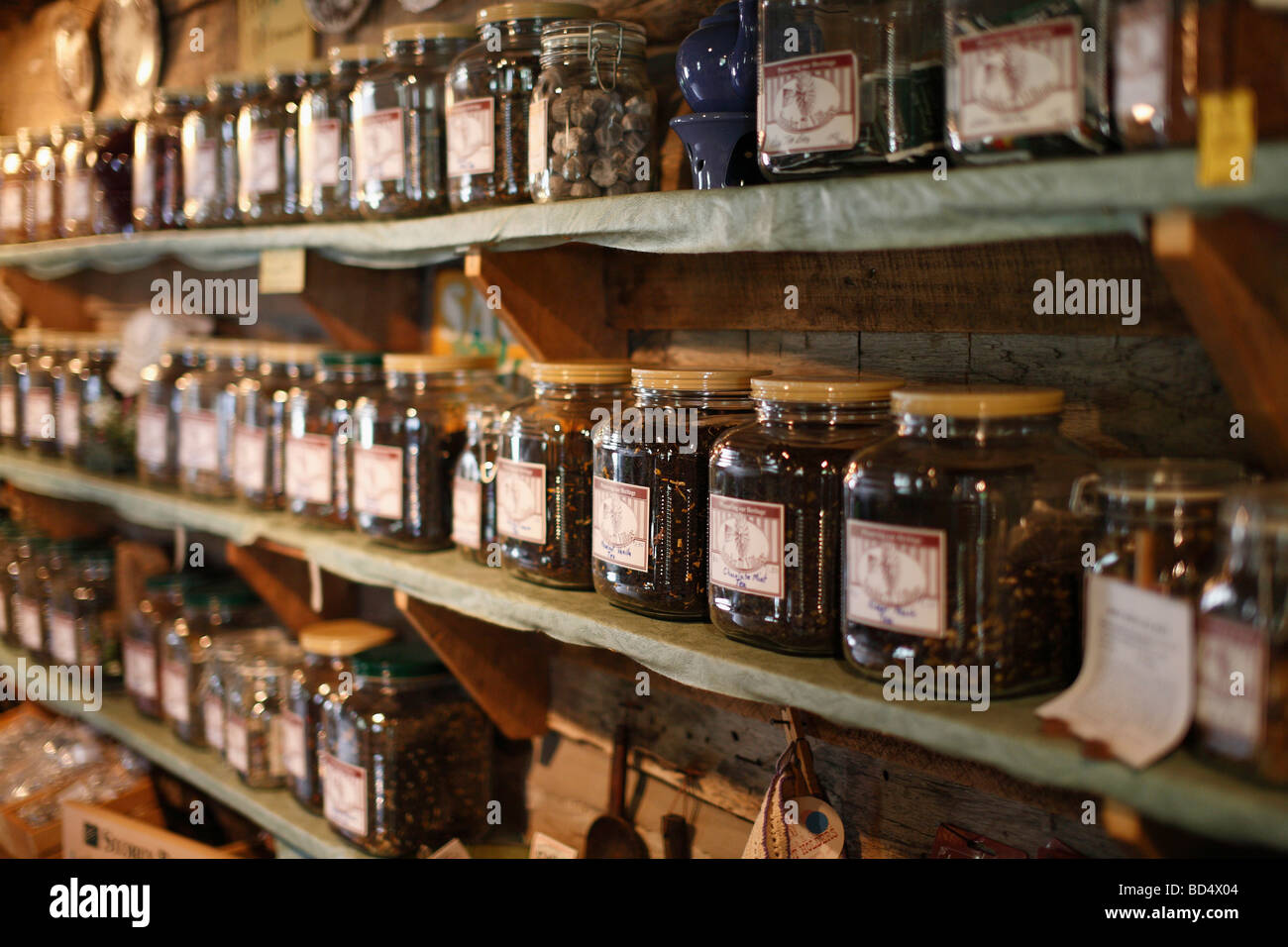 Collection Herb Shop herbs Sauder Village variety craft crafting Ohio American USA nobody hires