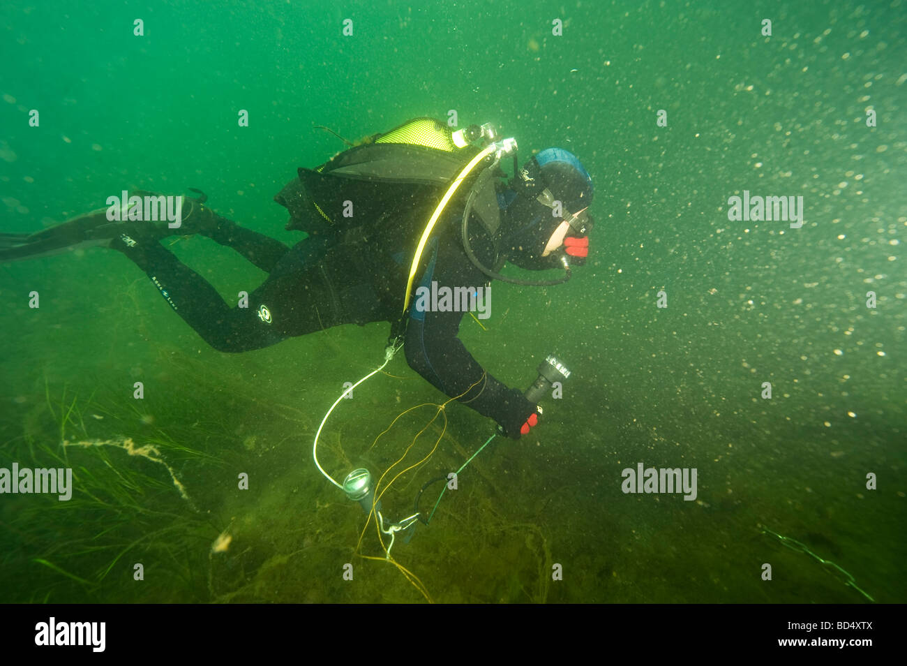 Diver underwater, Sweden Stock Photo