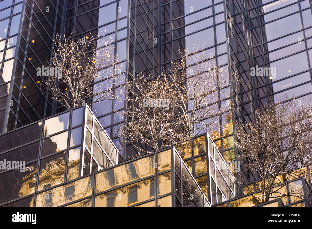 Trees on glass steel Trump Tower building, Manhattan, New York City, USA Stock Photo