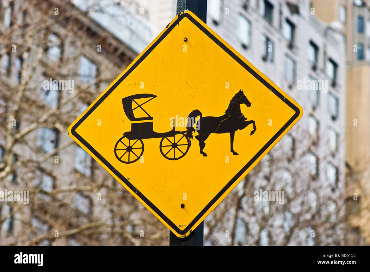 New york city horse drawn hi-res stock photography and images - Alamy