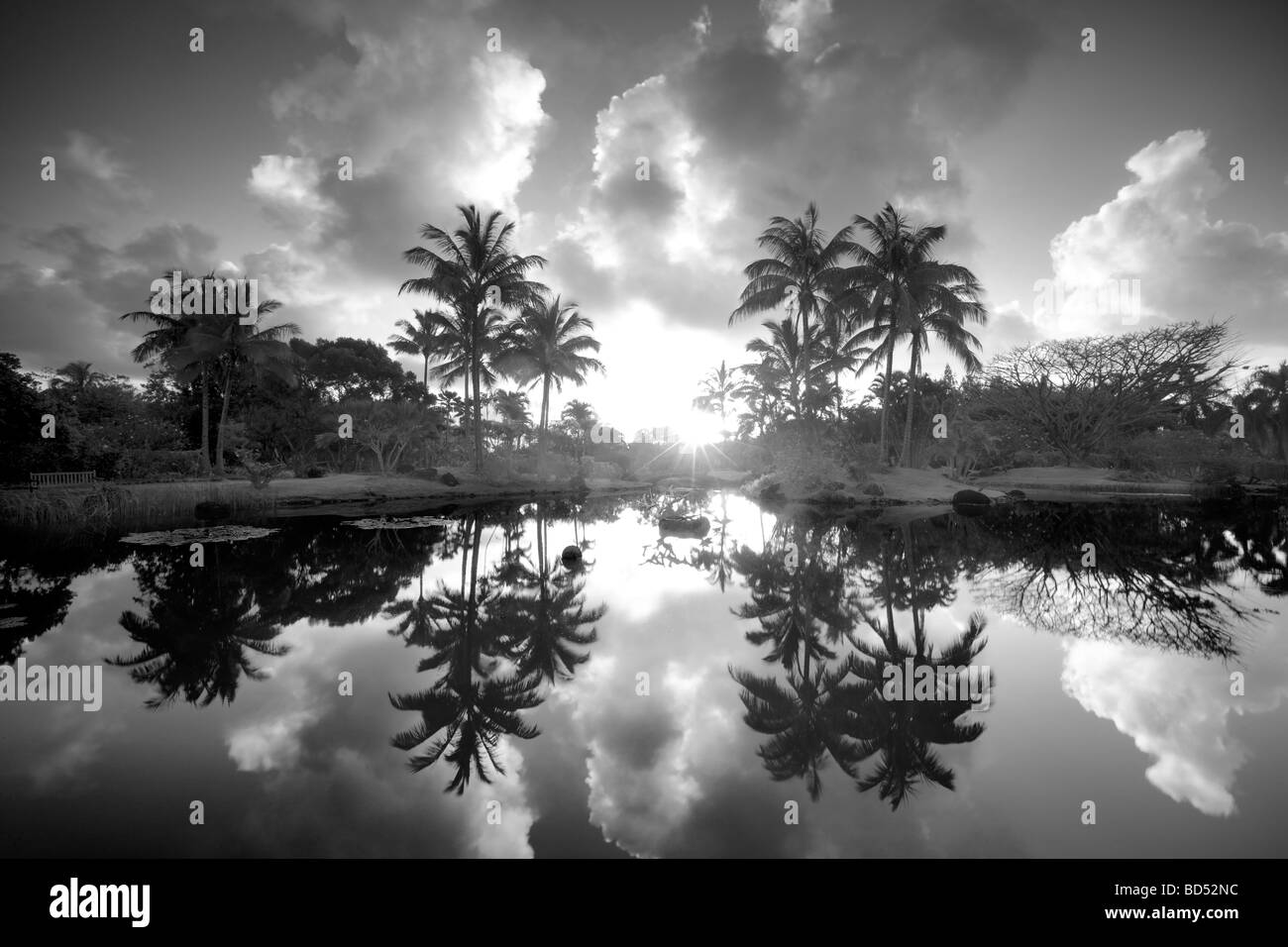 Pond with reflecting palm trees and garden at Na Aina Kai Botanical Gardens Kauai Hawaii Stock Photo