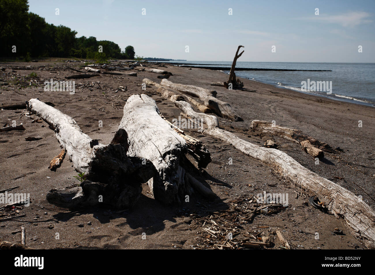 Polluted beach on Lake Erie park Ohio in USA nobody from above top view low angle spoil nature hi-res Stock Photo