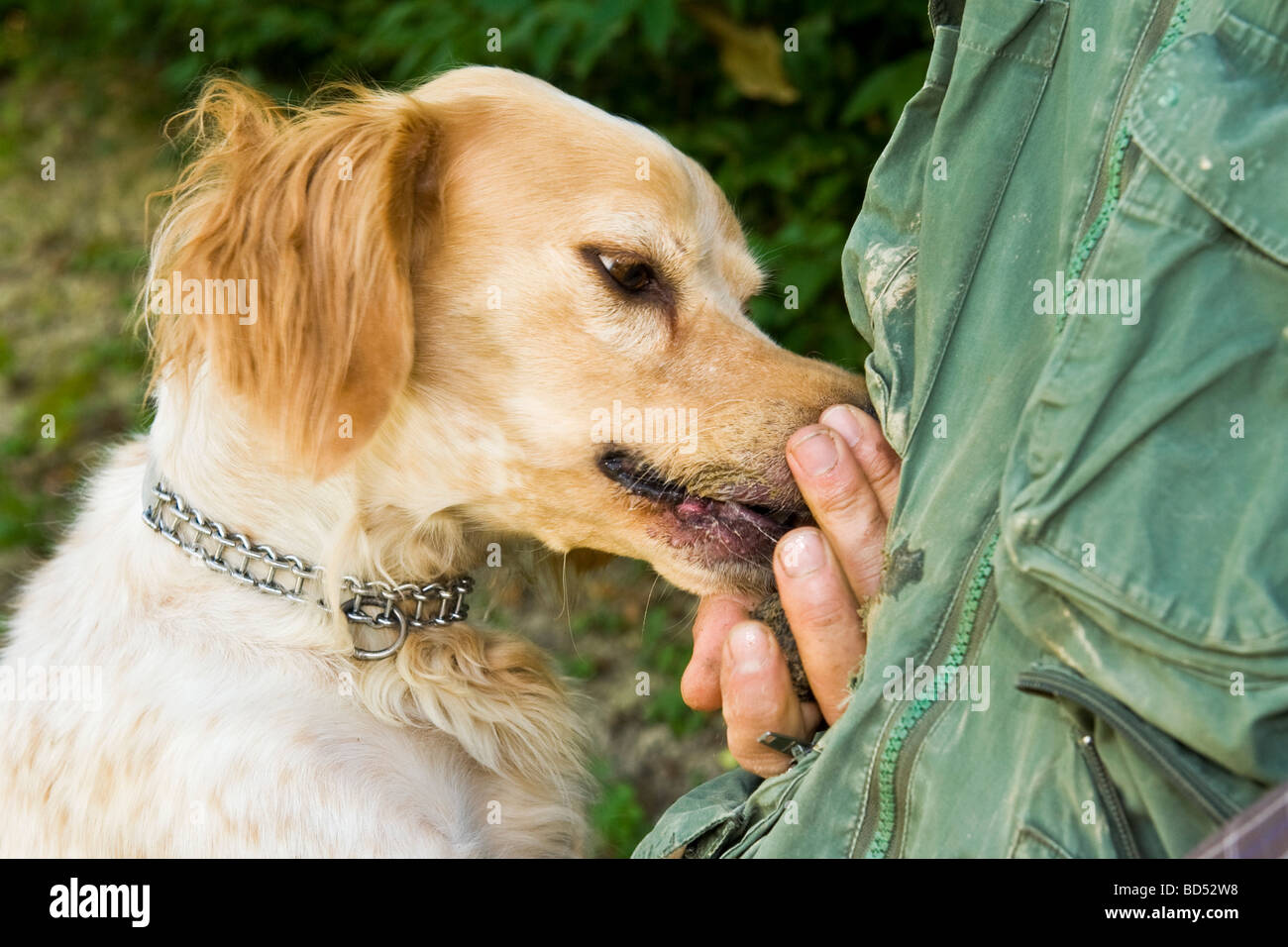 langhe province of cuneo roddi giovanni monchiero University of truffle