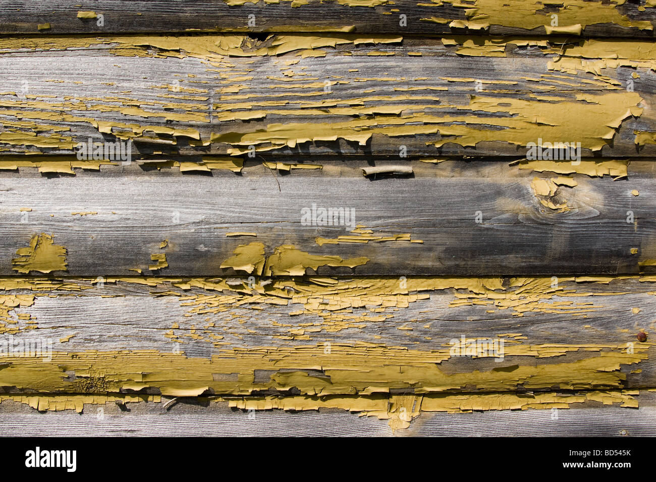 peeling paint on log cabin exterior wall Stock Photo Alamy