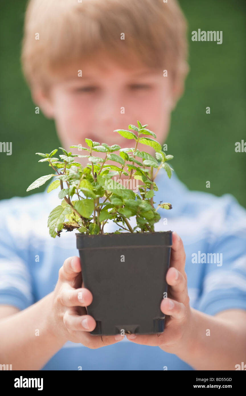 A young boy holding a plant Stock Photo
