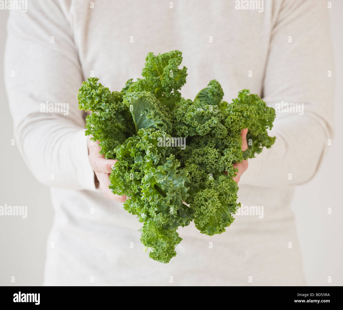 A bunch of kale Stock Photo Alamy