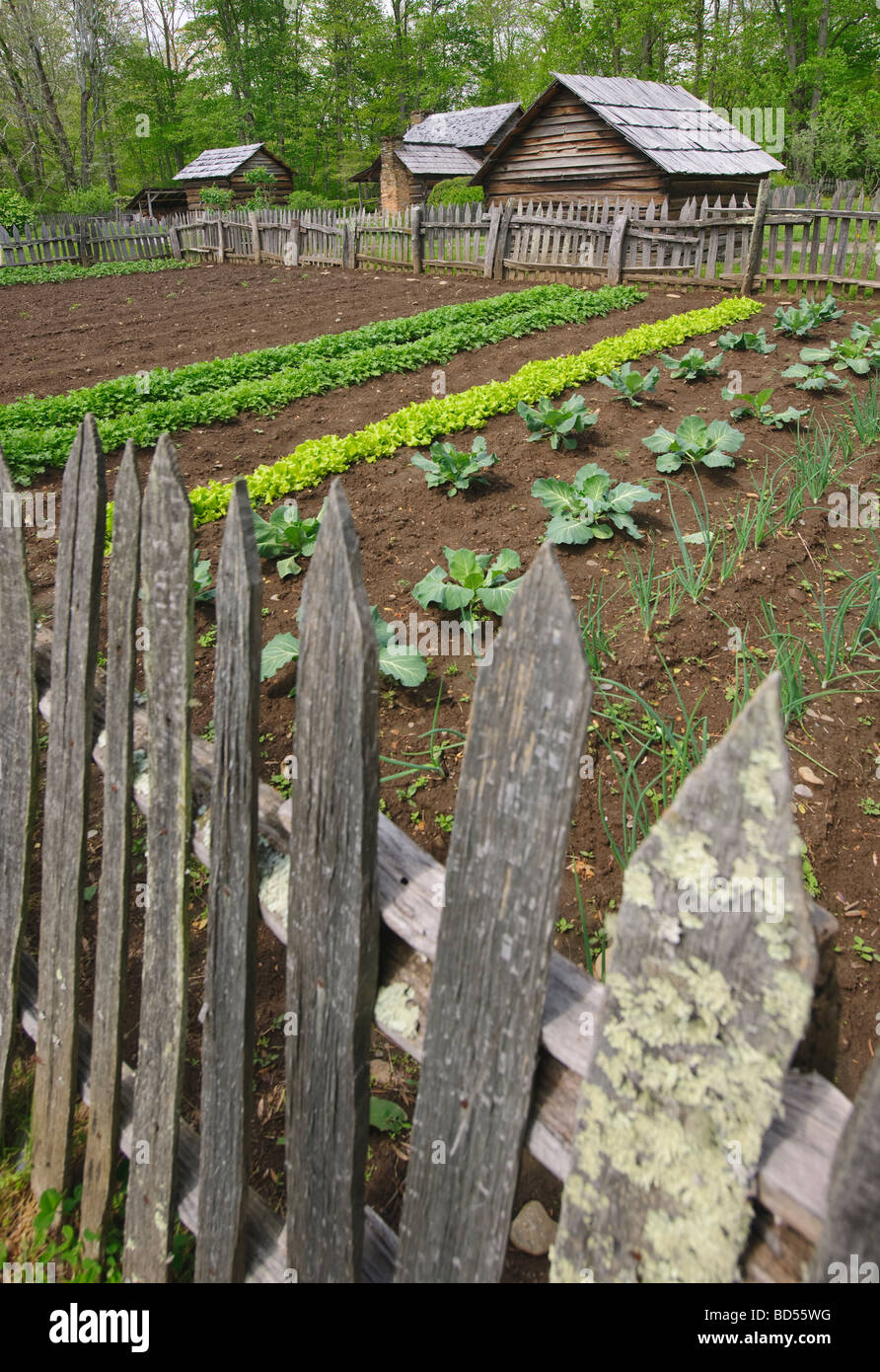 A vegetable garden at Smoky Mountain National Park Stock Photo