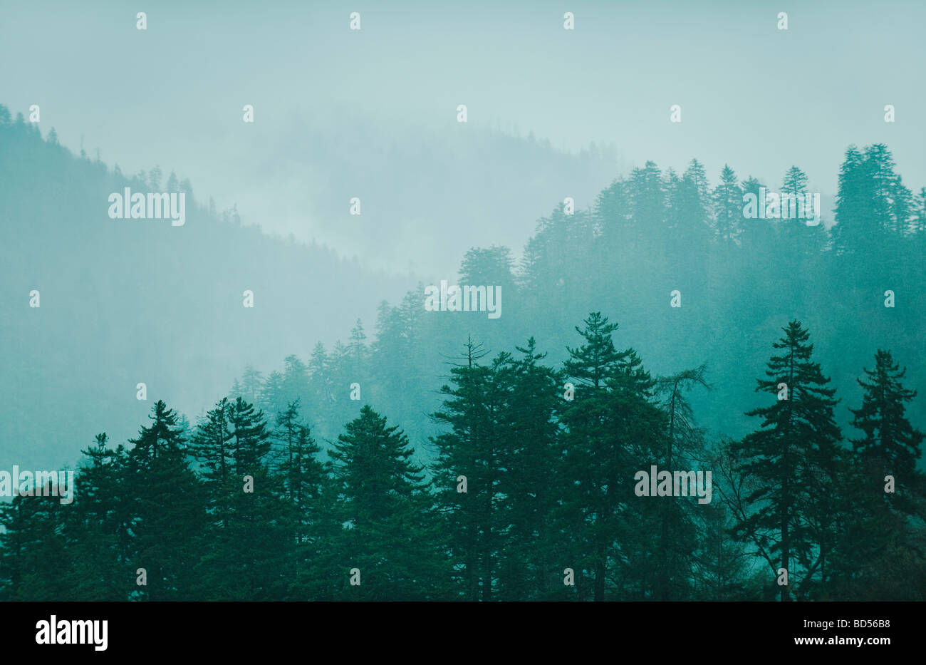Mountain landscape with trees Stock Photo - Alamy