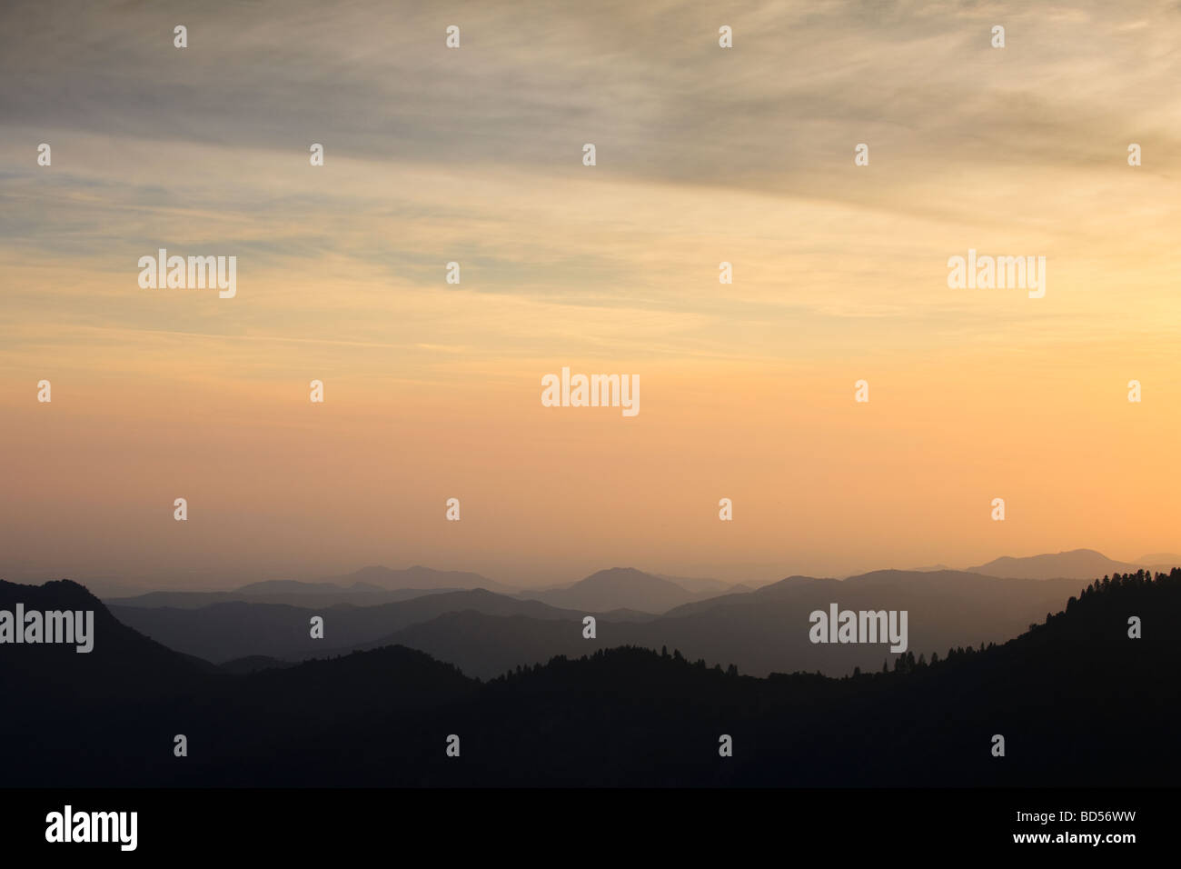 Mountain landscape with trees Stock Photo - Alamy