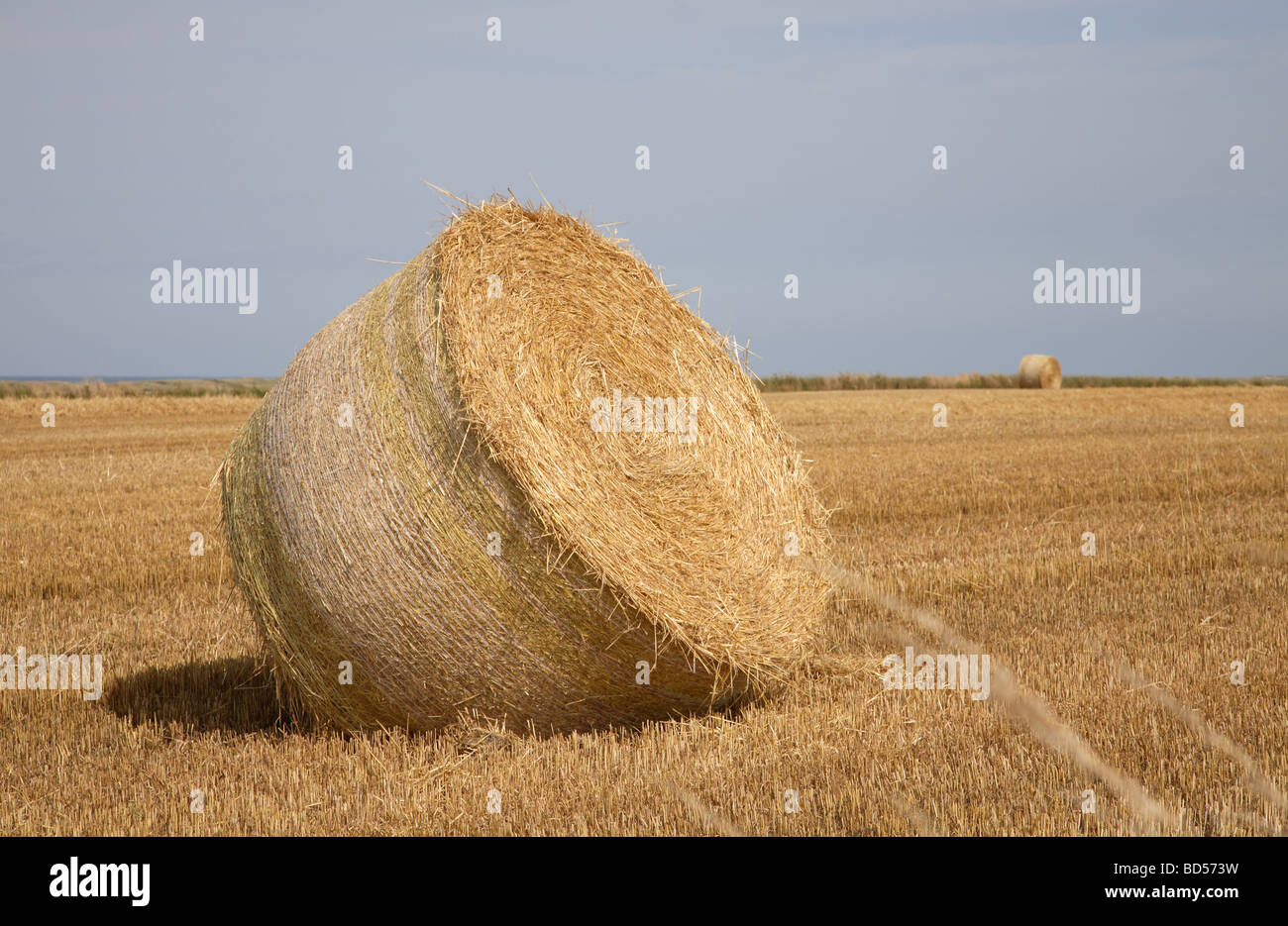 Round bales of straw against a bluish sky and the sea in the distance, Denmark Stock Photo